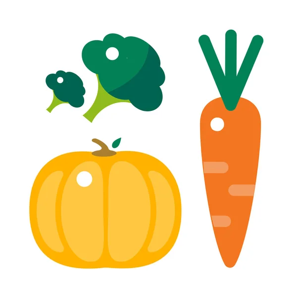 Calabaza naranja fresca, zanahorias y brócoli ilustración vectorial aislada . — Vector de stock