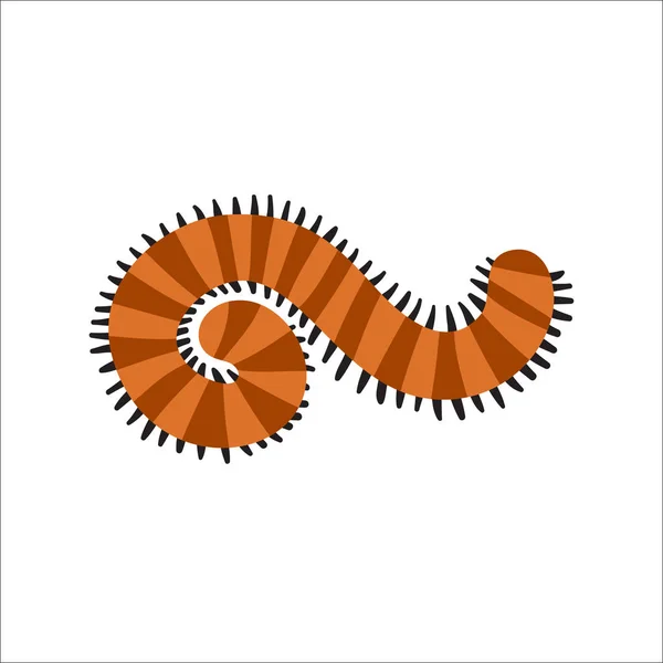 Centipede bonito animal desenho animado personagem vetor . —  Vetores de Stock