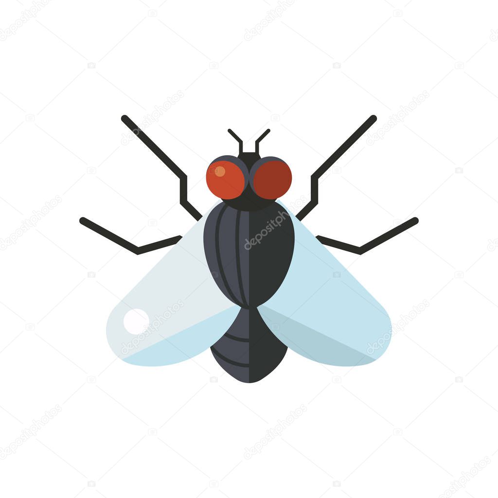 Insect fly icon flat isolated on white background