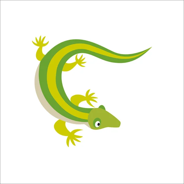 Chinese water dragon lizard vector illustration. — Stock Vector