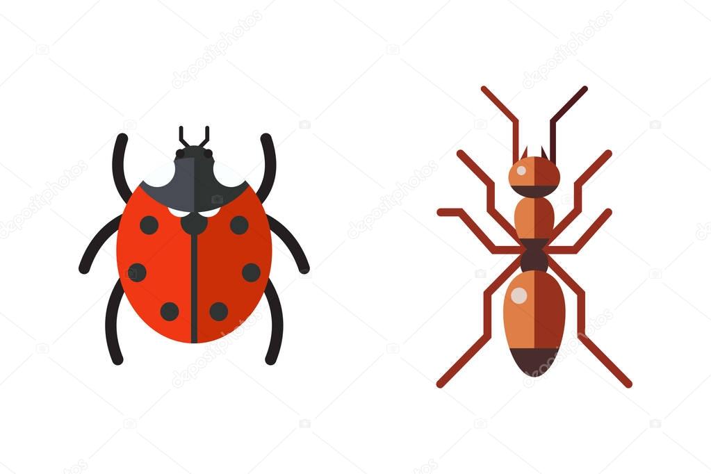 Insect ladybug and ant icon flat set isolated on white background