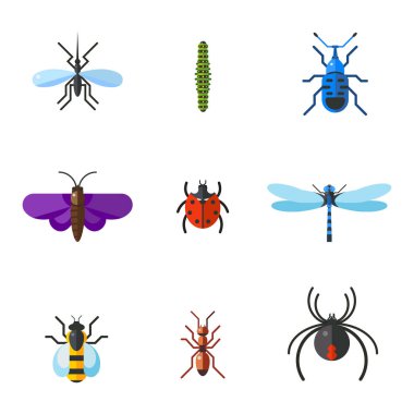 Böcek simgesini düz ayarlamak beyaz arka plan üzerinde izole