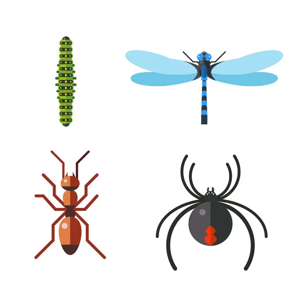 Insect icon flat set isolated on white background — Stock Vector