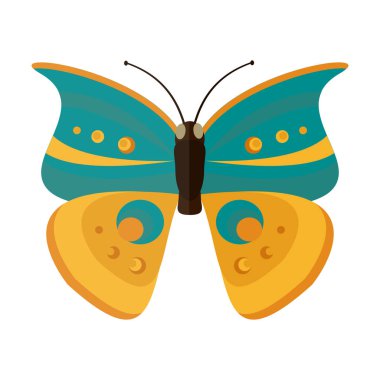 renkli kelebek vektör çizim.