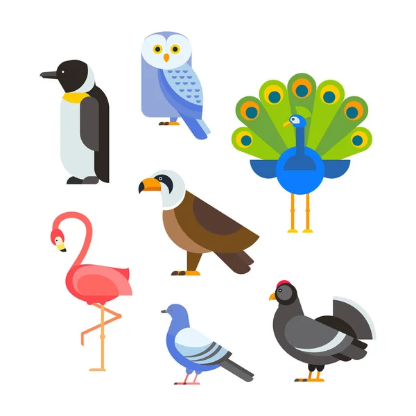 Aves vector conjunto ilustración aislado — Archivo Imágenes Vectoriales