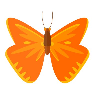 renkli kelebek vektör çizim.