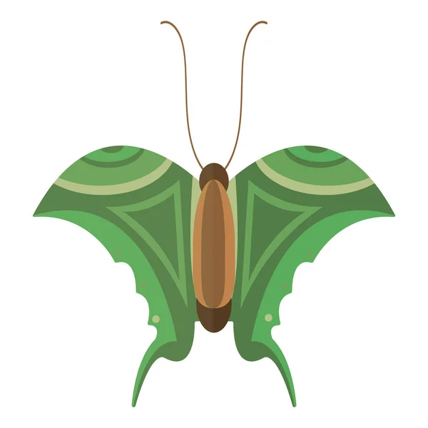 Mariposa colorida vector ilustración . — Archivo Imágenes Vectoriales