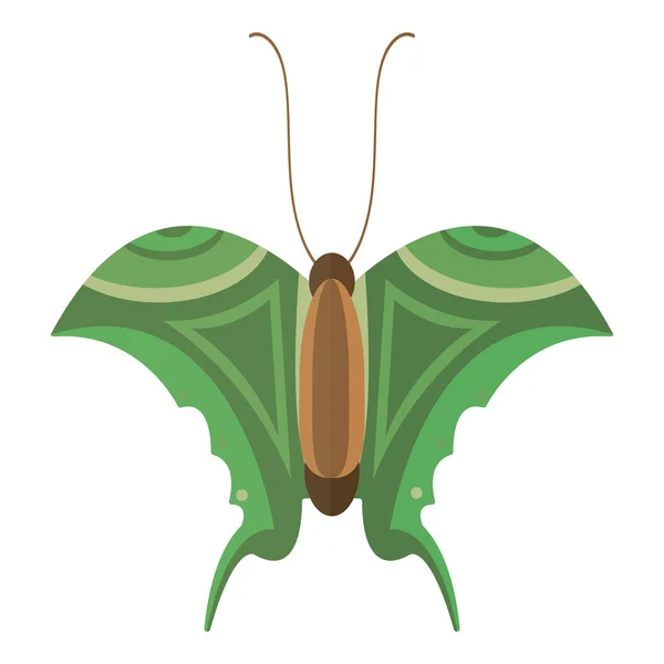 Mariposa colorida vector ilustración . — Vector de stock