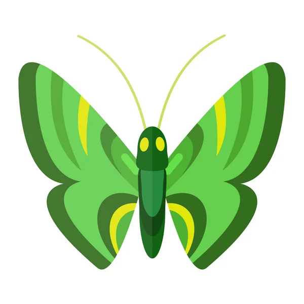Kleurrijke vlinder vectorillustratie. — Stockvector