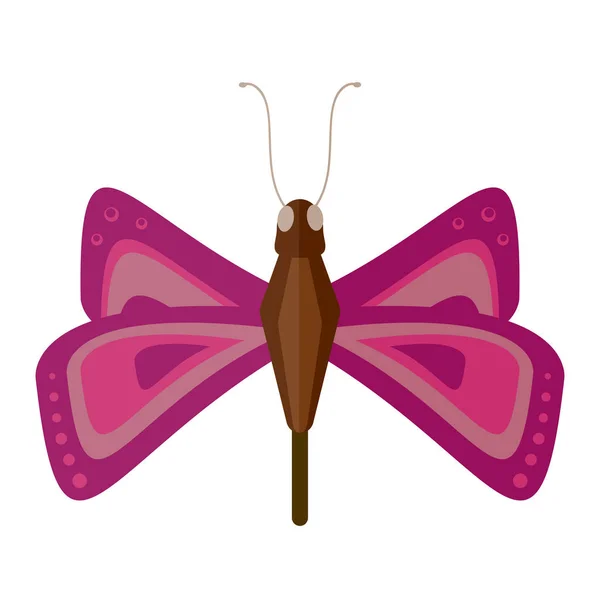 Ilustração de vetor borboleta colorida . — Vetor de Stock