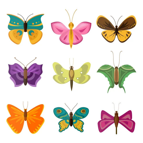 Coloridas mariposas vector . — Vector de stock