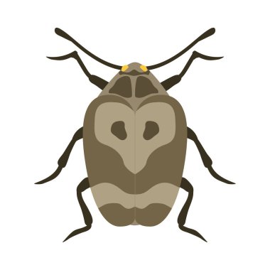 Böcek simgesini düz izole vektör çizim.