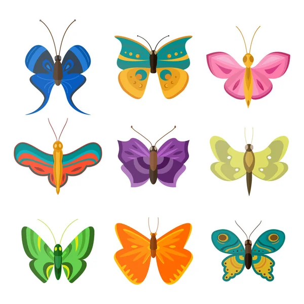 Coloridas mariposas vector . — Vector de stock