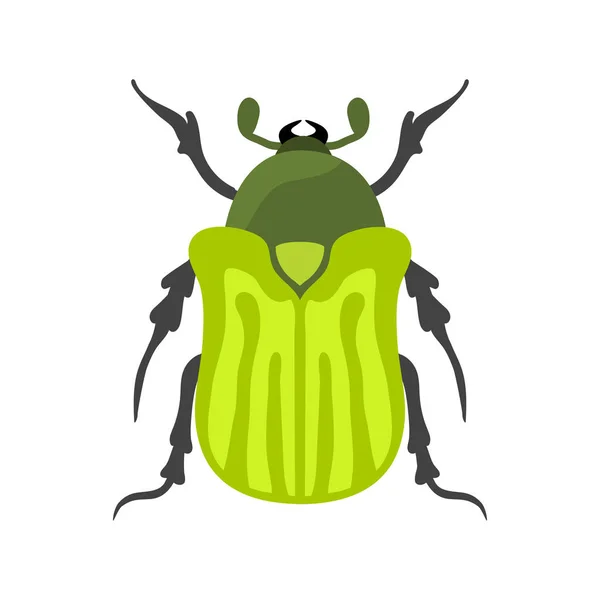 Insect icon flat isolated vector illustration. — Stock Vector