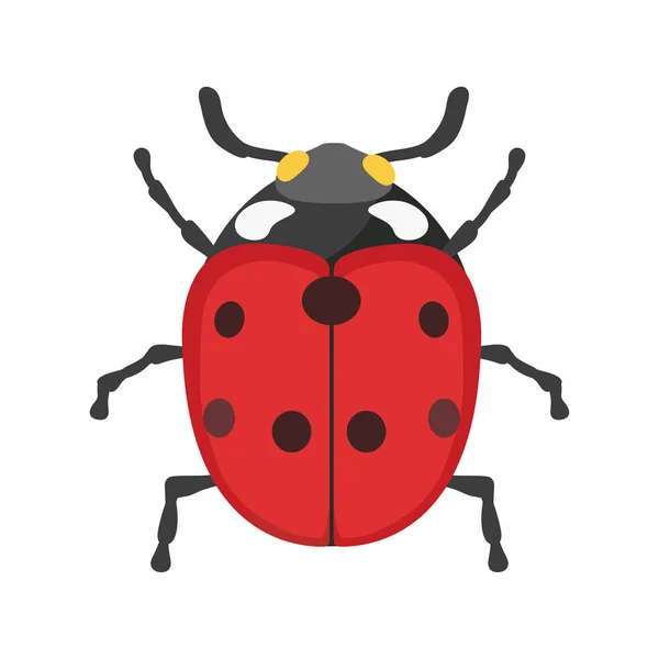 Insect ladybug icon flat isolated vector illustration. — Stock Vector