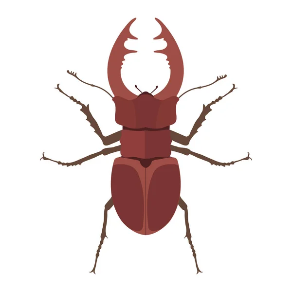 Insect stag kever pictogram vlakke geïsoleerde vectorillustratie. — Stockvector