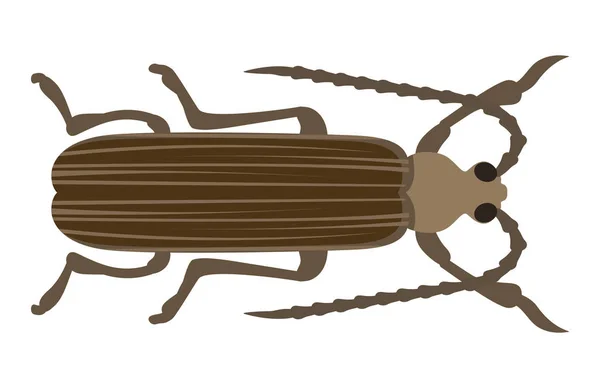 Böcek simgesini düz izole vektör çizim. — Stok Vektör