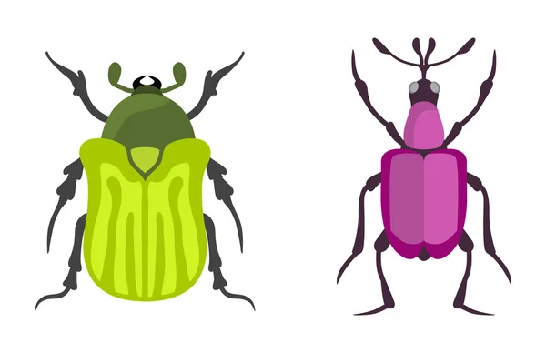 Піктограма комах плоска ізольована Векторні ілюстрації . — стоковий вектор