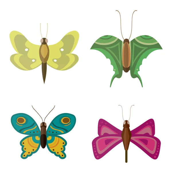 Colorful butterflies vector. — Stock Vector