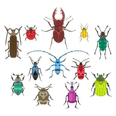 Böcek simgesini düz izole vektör çizim.