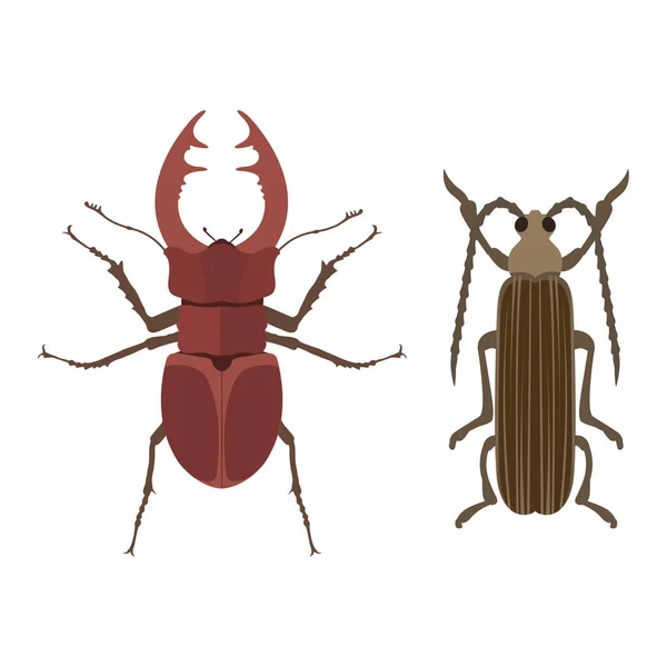 Insect pictogram vlakke geïsoleerde vectorillustratie. — Stockvector