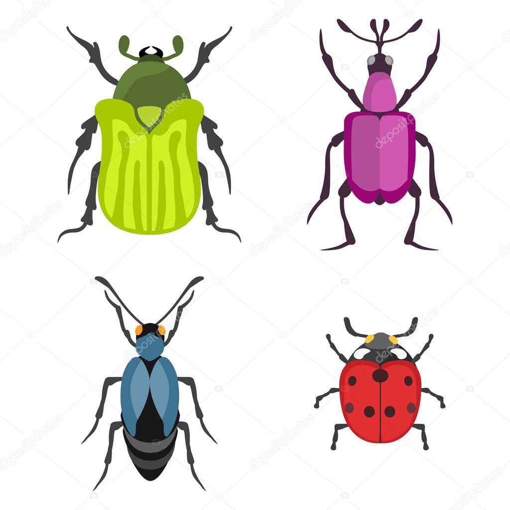 Insect icon flat isolated vector illustration.