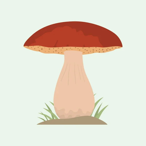 Comestível fresco branco cogumelo natureza alimento vegetariano saudável outono e marrom fungo vegetal orgânico matéria-prima vetor ilustração . —  Vetores de Stock