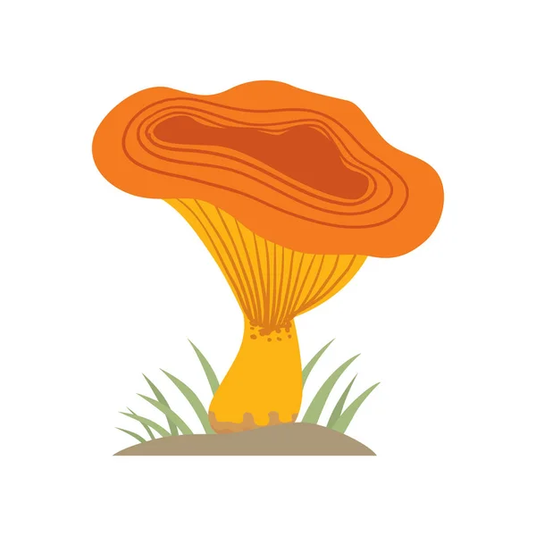 Cogumelo laranja venenoso natureza alimento vegetariano saudável outono comestível e fungo vegetal orgânico matéria-prima vetor ilustração . —  Vetores de Stock