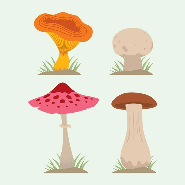 Champiñones para cocinar comida y naturaleza venenosa comida vegetariana saludable otoño comestible y hongo vegetal orgánico ingrediente crudo vector ilustración . — Archivo Imágenes Vectoriales