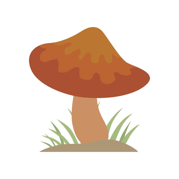 Poisonous brown mushroom nature food vegetarian healthy autumn edible and fungus organic vegetable raw ingredient vector illustration.