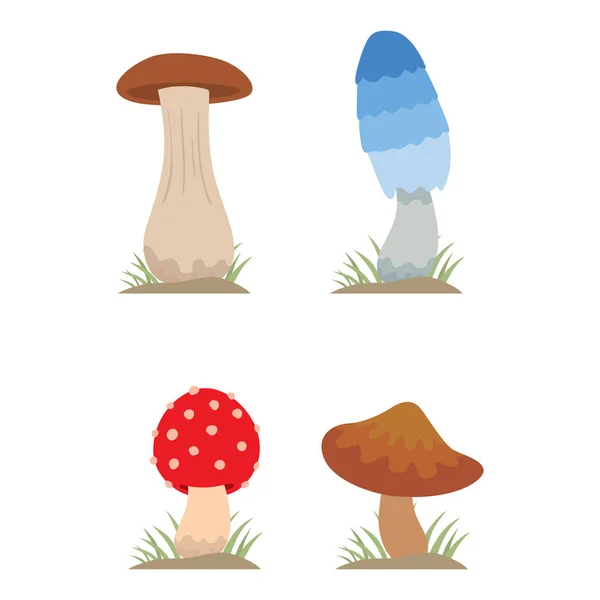 Pilze zum Kochen Nahrung und giftige Naturmahlzeit Vegetarier gesund Herbst essbar und Pilz Bio-Gemüse Rohstoff Vektor Illustration. — Stockvektor