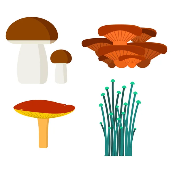 蘑菇煮食品和有毒性质餐素食健康秋天食用真菌有机蔬菜原料矢量图. — 图库矢量图片