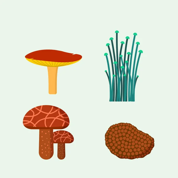 Mushrooms for cook food and poisonous nature meal vegetarian healthy autumn edible and fungus organic vegetable raw ingredient vector illustration. — Stock Vector
