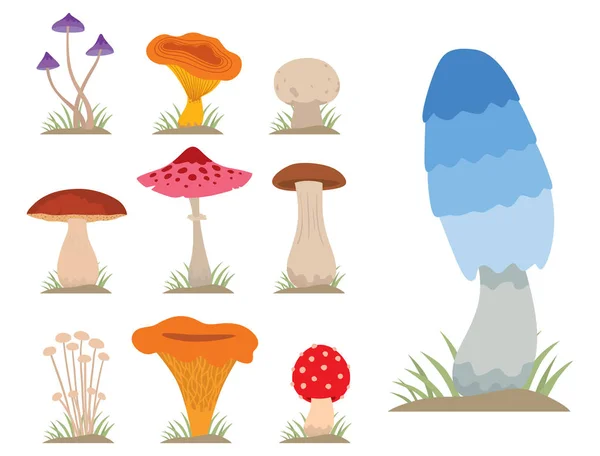 蘑菇煮食品和有毒性质餐素食健康秋天食用真菌有机蔬菜原料矢量图. — 图库矢量图片