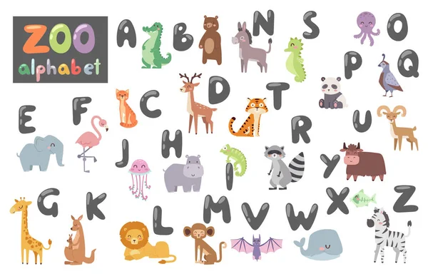 Alphabet zoo mignon avec des animaux de dessin animé isolés sur fond blanc et des lettres drôles faune apprendre la typographie illustration vectorielle langage mignon . — Image vectorielle