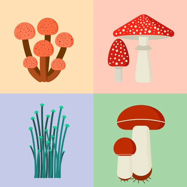 Cogumelos para cozinhar alimentos e comida venenosa natureza refeição vegetariana saudável outono comestível e fungo vegetal orgânico matéria-prima vetor ilustração . — Vetor de Stock