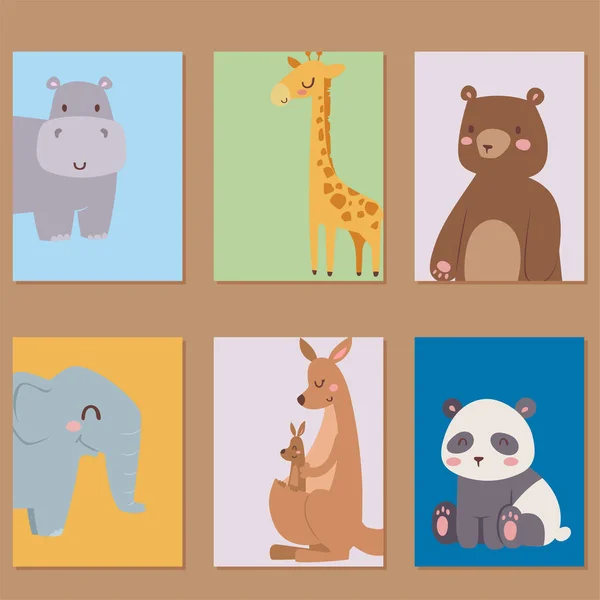 Lindo zoológico dibujos animados animales tarjetas divertido fauna aprender lindo idioma y naturaleza tropical safari mamífero selva alto personajes vector ilustración . — Vector de stock