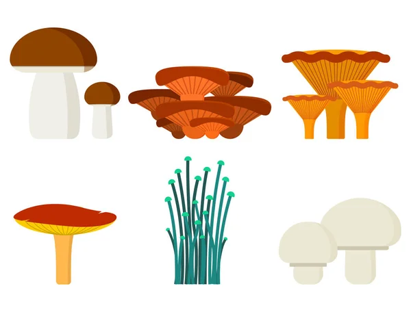 Champignons voor koken voedsel en giftige aard maaltijd vegetarisch gezonde herfst eetbare en schimmel biologische plantaardige rauwe ingrediënt vectorillustratie. — Stockvector