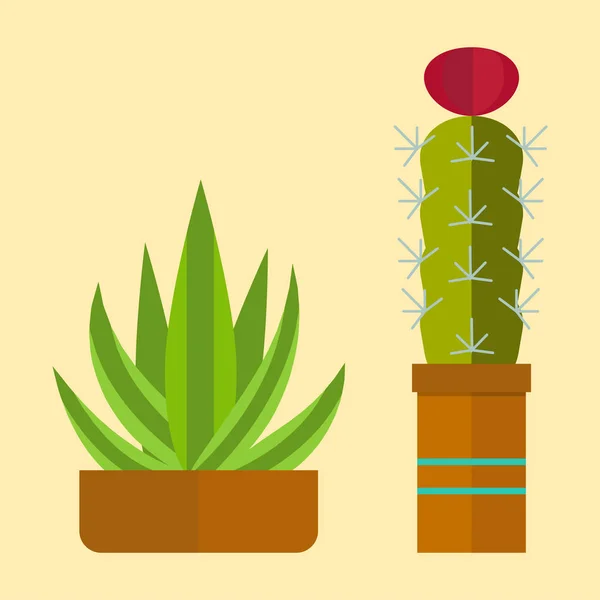 Cactus natuur woestijn bloem groen Mexicaanse succulente tropische plant cactussen floral vector illustratie. — Stockvector