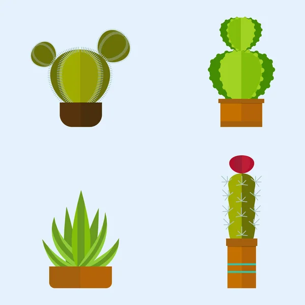 Kaktus přírodní pouštní květina zelené mexické šťavnaté tropické rostliny kaktusů květinové vektorové ilustrace. — Stockový vektor