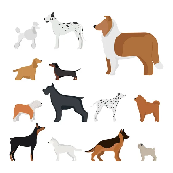 Divertido perro de dibujos animados carácter pan en ilustración vectorial estilo de dibujos animados . — Vector de stock