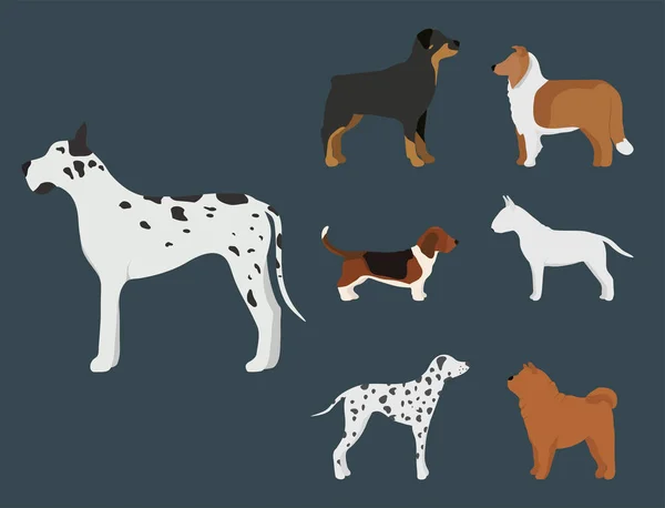 Legrační karikatura psa charakter chléb v kreslený styl vektorové ilustrace. — Stockový vektor