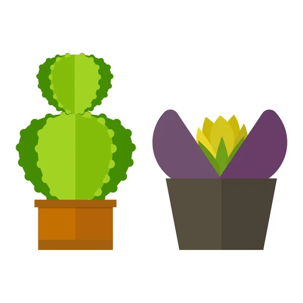 Cactus natuur woestijn bloem groen Mexicaanse succulente tropische plant cactussen floral vector illustratie. — Stockvector