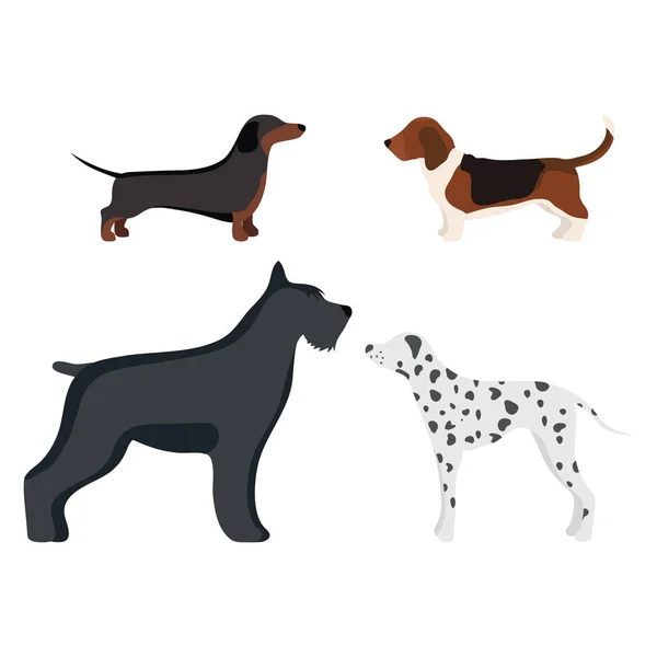 Rolig tecknad hund karaktär bröd i tecknad stil vektorillustration. — Stock vektor