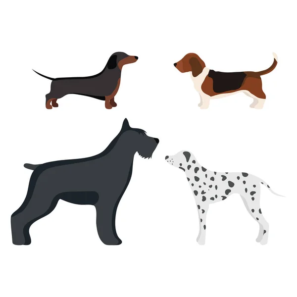 Divertido perro de dibujos animados carácter pan en ilustración vectorial estilo de dibujos animados . — Vector de stock