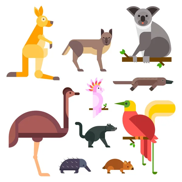 Austrália animais selvagens desenhos animados natureza popular personagens estilo plano e australiano mamífero aussie nativo floresta coleção vetor ilustração . —  Vetores de Stock