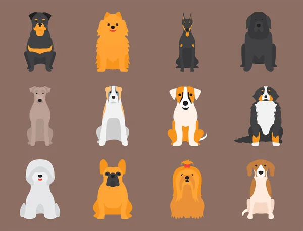 Divertido perro de dibujos animados personaje de pan de dibujos animados cachorro amable adorable vector canino ilustración . — Archivo Imágenes Vectoriales