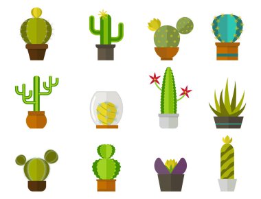 Kaktüs doğa çöl çiçeği yeşil Meksika lezzetli tropikal bitki kaktüsler çiçek illüstrasyon vektör.