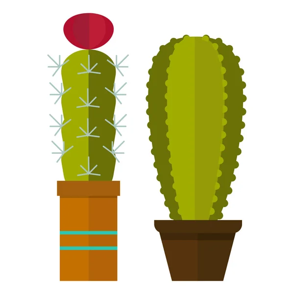 Cactus natuur woestijn bloem groen Mexicaanse succulente tropische plant cactussen floral vector illustratie. — Stockvector