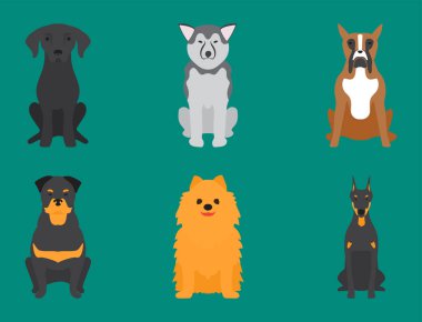 Komik karikatür köpek karakteri ekmek karikatür köpek dostu sevimli köpek vektör çizim.